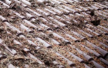 Laney Green roof cleaning companies