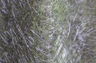 Laney Green fibreglass roof work